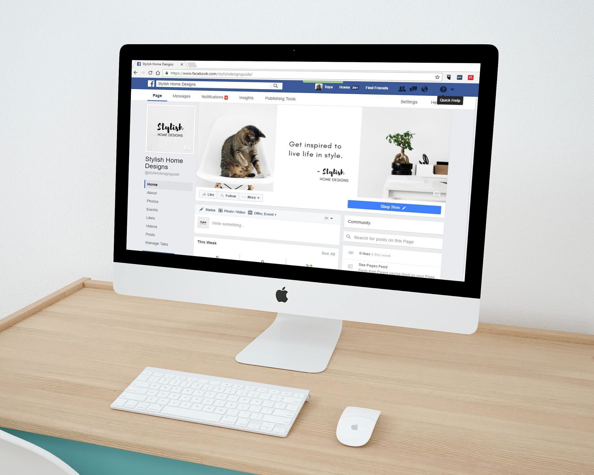 domain name for social media store