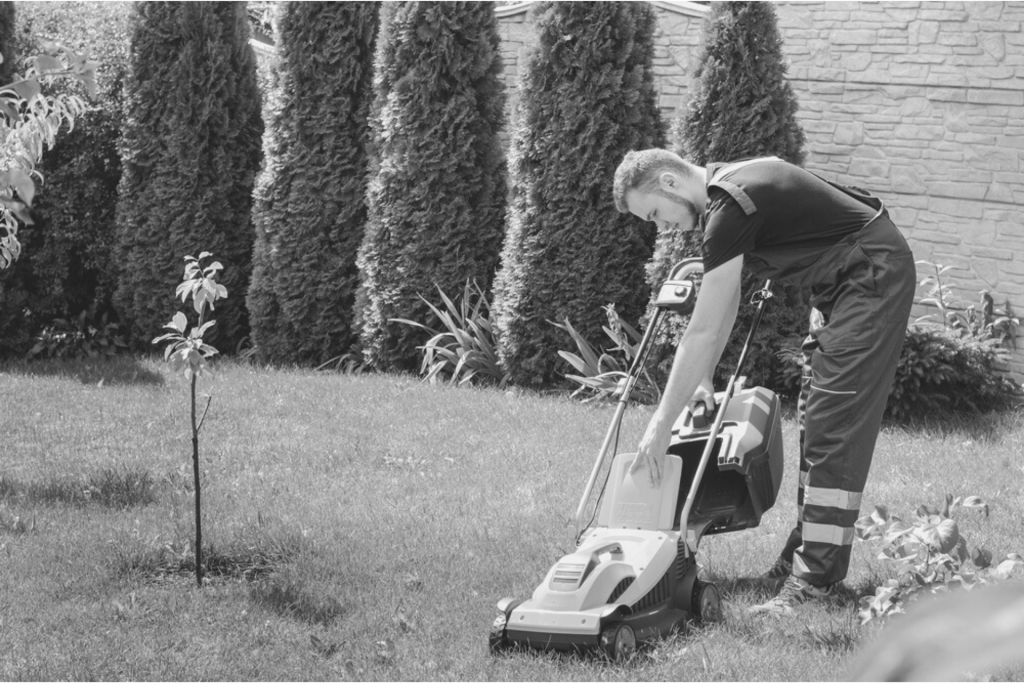 how-to-start-a-lawn-care-business-online-8-steps-to-get-started