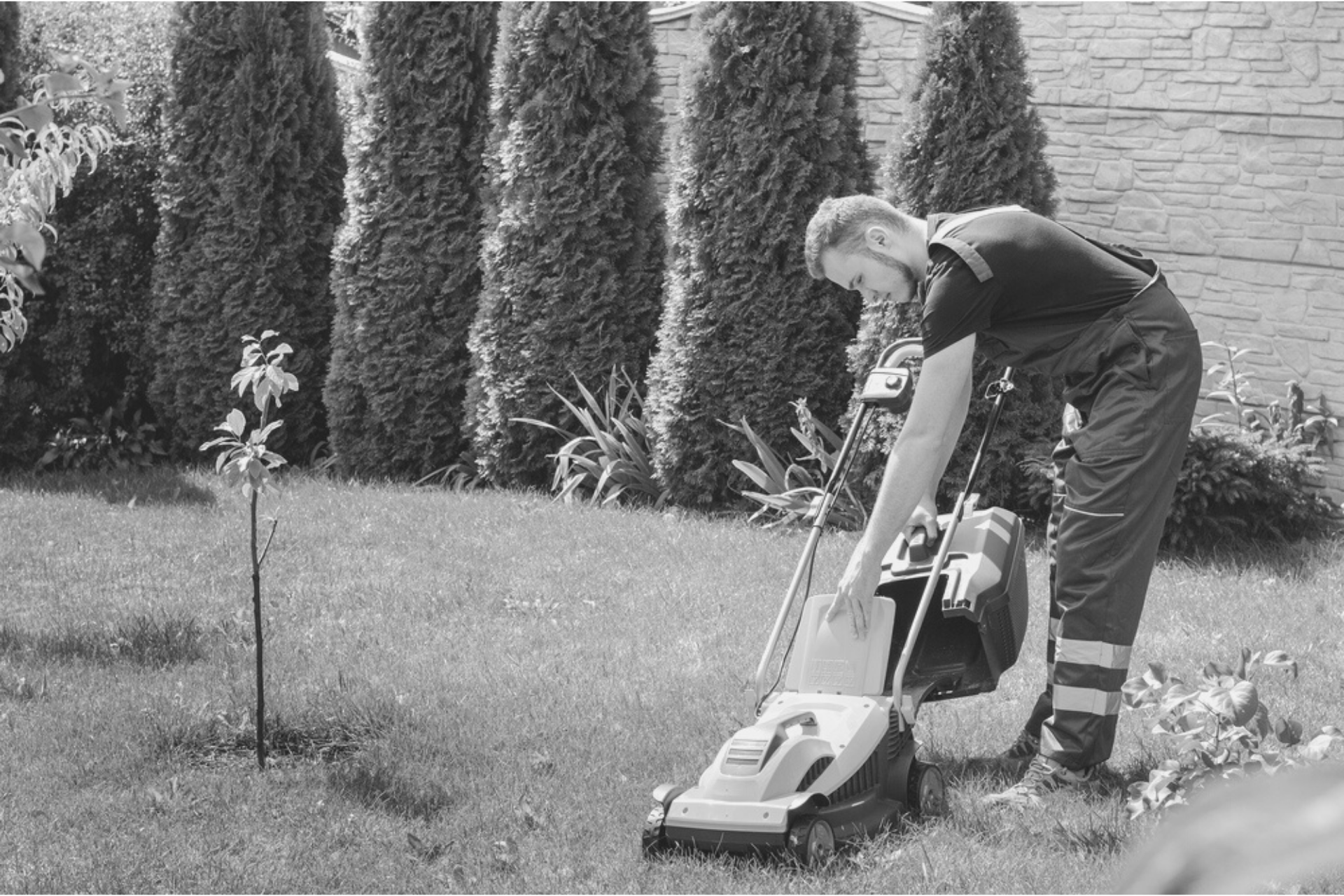 how-to-start-a-lawn-care-business
